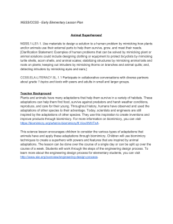 NGSS/CCSS Early Elementary Lesson Plan Animal Superheroes