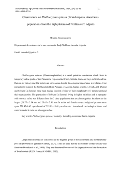 Observations on Phallocryptus spinosa
