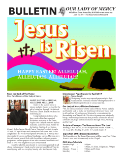 bulletin - Our Lady of Mercy