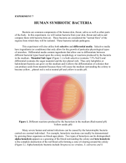 Human Symbiotic Bacteria
