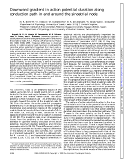 Downward gradient in action potential duration along conduction