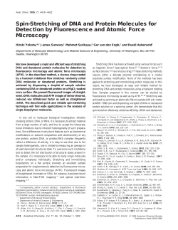 Spin-Stretching of DNA and Protein Molecules for Detection by