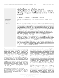 Methylobacterium trifolii sp. nov. and Methylobacterium thuringiense