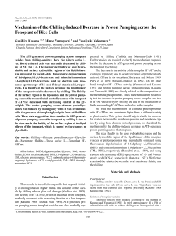 Mechanism of the Chilling-Induced Decrease in Proton Pumping