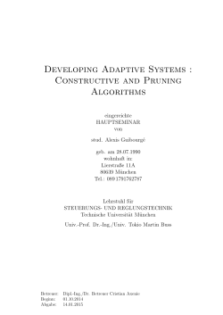 Developing Adaptive Systems : Constructive and Pruning Algorithms
