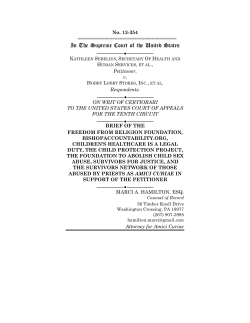 This brief - RFRA Perils