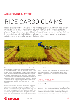 rice cargo claims