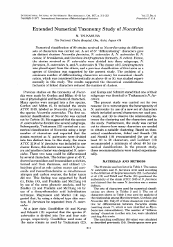 Extended Numerical Taxonomy Study of Nocardia