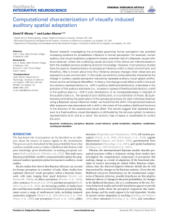Computational characterization of visually induced