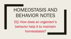 Homeostasis and Behavior Notes
