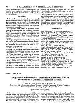 Gangliosides, Phospholipids, Protein and Ribonucleic Acid in