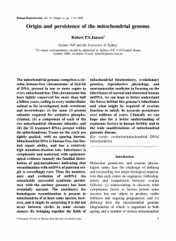 Origin and persistence of the mitochondrial genome
