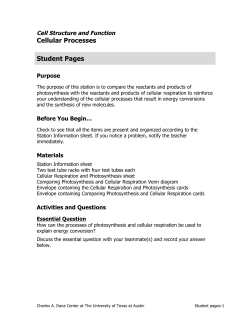 Cellular Processes