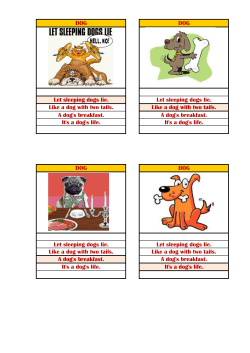 DOG DOG Let sleeping dogs lie. Let sleeping dogs lie. Like a dog