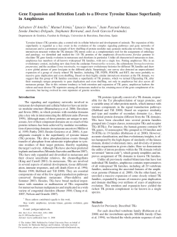 Gene Expansion and Retention Leads to a