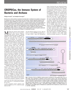 CRISPR/Cas, the Immune System of Bacteria and Archaea REVIEW