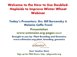 How to use doubled-haploids to improve