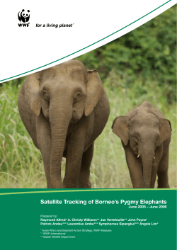 Satellite Tracking of Borneo`s Pygmy Elephants