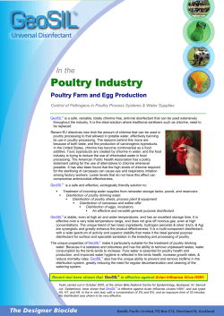 Poultry Industry