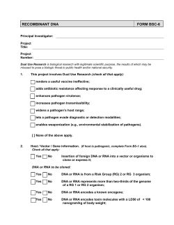 BSC-6 Recombinant DNA