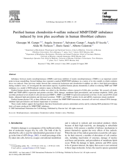 Purified human chondroitin-4-sulfate reduced MMP/TIMP imbalance