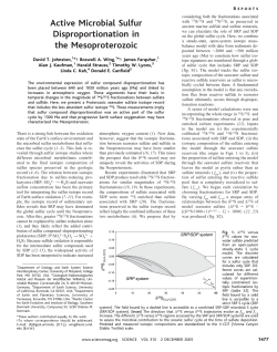 Active Microbial Sulfur Disproportionation in the Mesoproterozoic