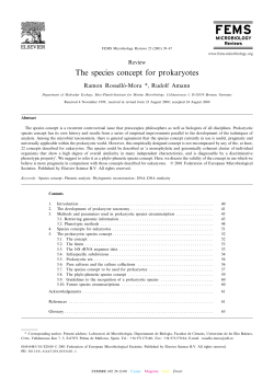 The species concept for prokaryotes