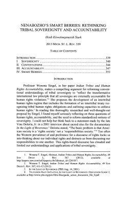 Rethinking Tribal Sovereignty and Accountability