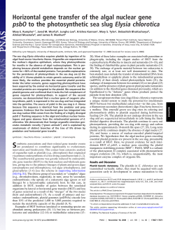 Horizontal gene transfer of the algal nuclear gene