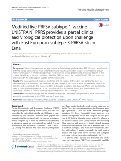 Modified-live PRRSV subtype 1 vaccine UNISTRAIN&reg;PRRS