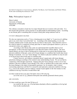 Pain, Philosophical Aspects of