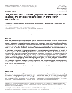 Long-term in vitro culture of grape berries and its application to