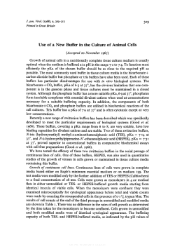 Use of a New Buffer in the Culture of Animal Cells