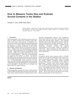 How to Measure Testes Size and Evaluate Scrotal