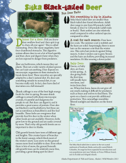 Sitka Deer fact sheet - Bear Trust International