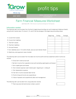 Farm Financial Measures Worksheet