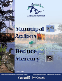 Municipal Actions to Reduce Mercury Page i