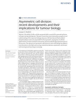 Asymmetric cell division: recent developments and their implications