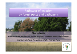 Pathways of invasion by forest pests and pathogens
