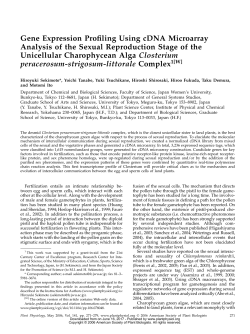Gene Expression Profiling Using cDNA