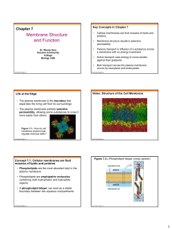 Chapter 7 PowerPoint