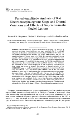 Period-Amplitude Analysis of Rat Electroencephalogram: Stage and