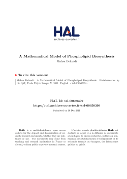A Mathematical Model of Phospholipid Biosynthesis