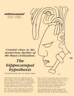 The hippocampal hypothesis