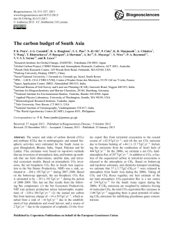 The carbon budget of South Asia