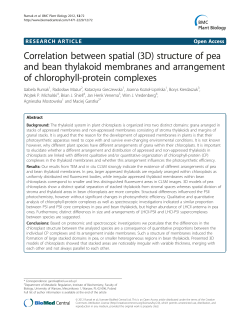 Correlation between spatial (3D) structure of pea and bean thylakoid