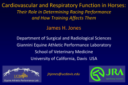 Dr. James Jones