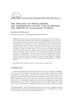 THE INFLUENCE OF BENZYLADENINE AND NAPHTHALENE