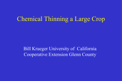 Power Point - Chemical Thinning a Large Crop