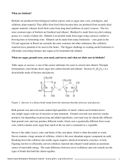 1 What are biofuels? Biofuels are produced from biological carbon